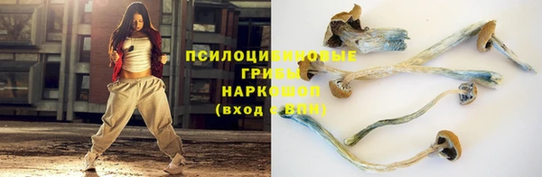 бошки Волоколамск