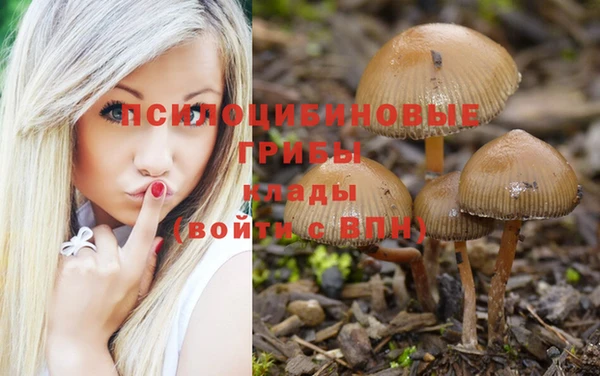 спиды Володарск